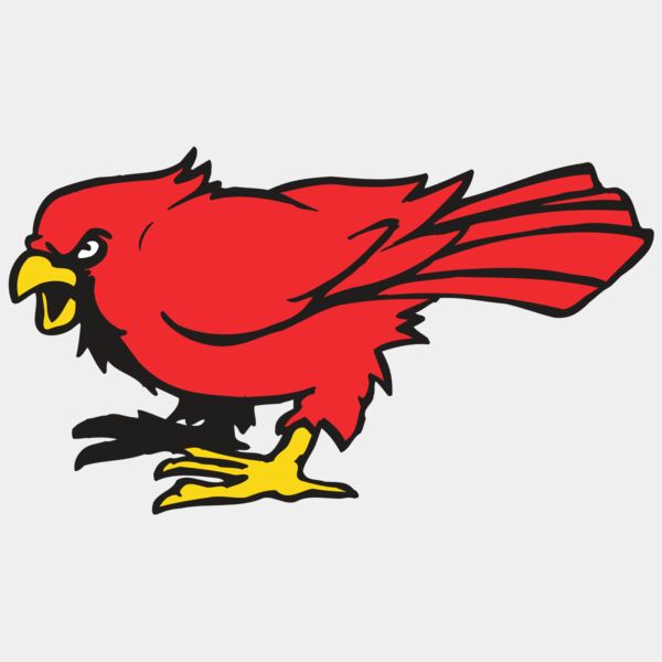 AR CARDINAL 11 RC Thumbnail