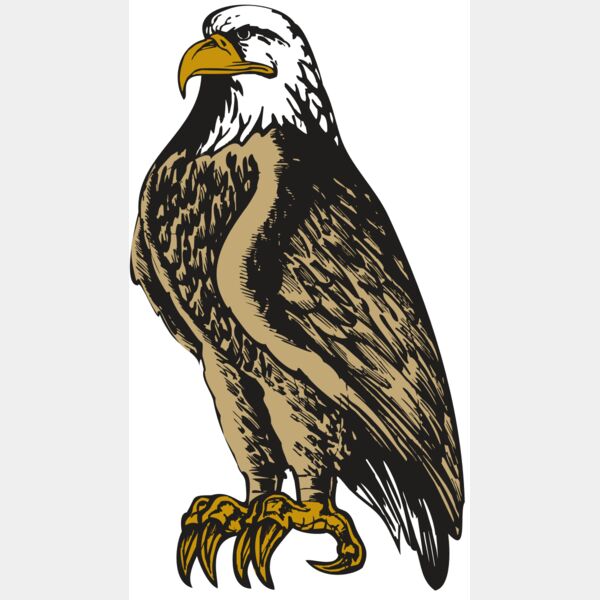 BAW EAG 02 RC Thumbnail