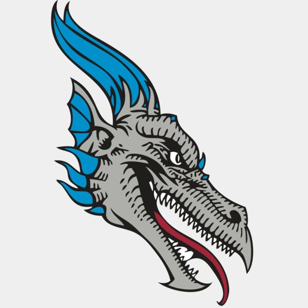 BAW DRAGON 07 RC Thumbnail