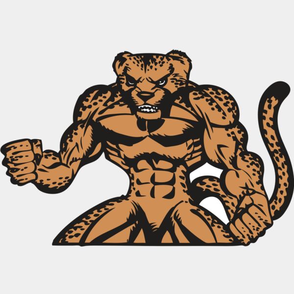 BAW CHEETAH 07 RC Thumbnail