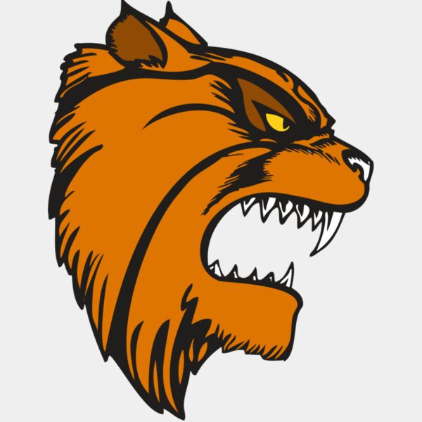 BAW WILDCAT 08 RC Thumbnail