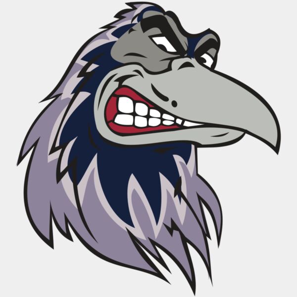 RAVEN HD0504 RQC Thumbnail